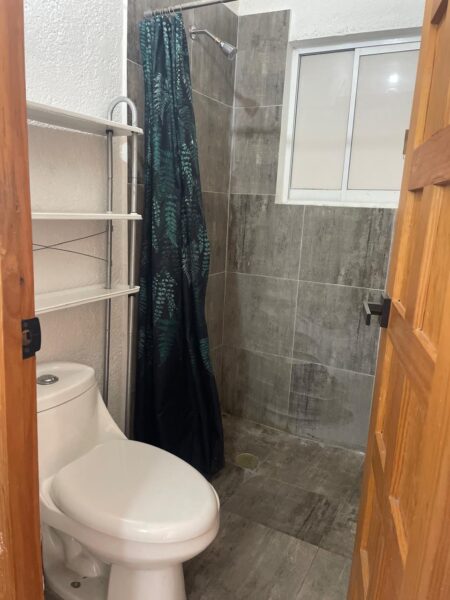 Renta de Departamento Semi amueblado en Fracc Milenio lll Qro Mex