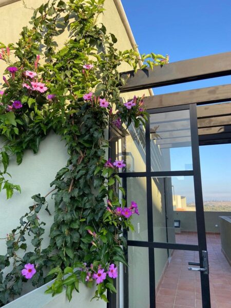 Casa amueblada en Renta en San Miguel de Allende, Gto, Mex.