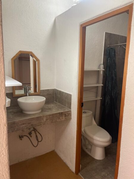 Renta de Departamento Semi amueblado en Fracc Milenio lll Qro Mex