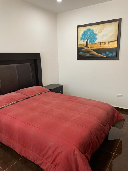 Departamento Amueblado en Renta en Fracc. Milenio lll Qro Mex