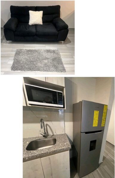 Departamento tipo Loft en Renta en Fracc. Milenio lll Qro. Mex .