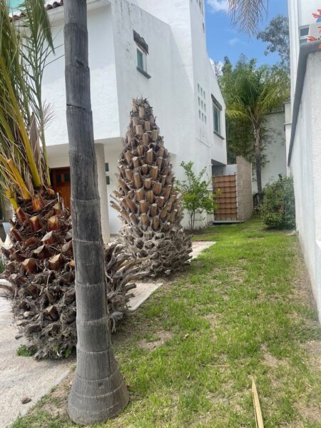 Casa en Venta en Privada Arboledas Qro. Mex