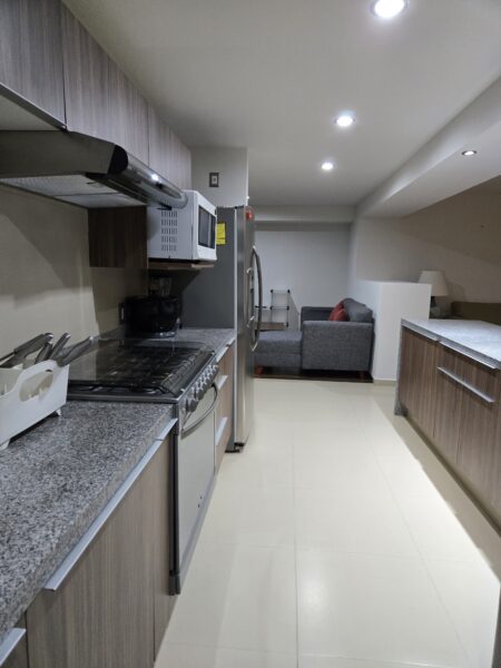 Departamento Amueblado en Renta en Lumacity Milenio lll Qro. Mex.