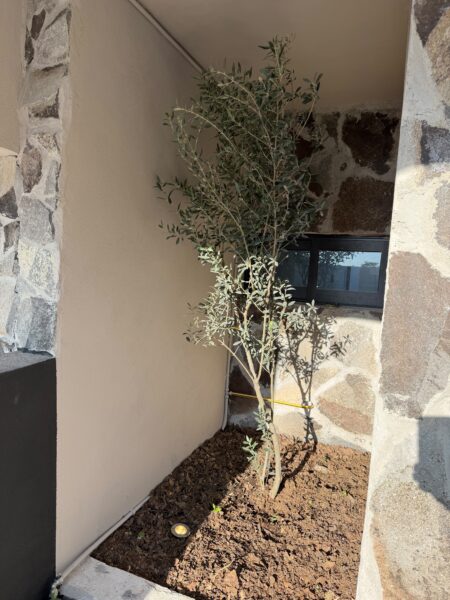 Casa en Venta en Fracc. Capital Sur, El Marqués Qro. Mex .