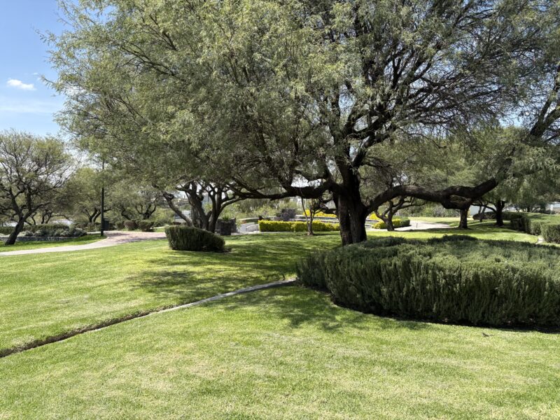 Casa en Venta en Condominio Oliveto en La Vista Residencial Qro. Mex.